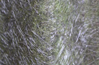 Bow Broom fibreglass roof work